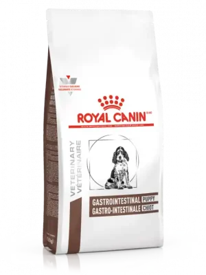 Gastro-intestinal Nieuw